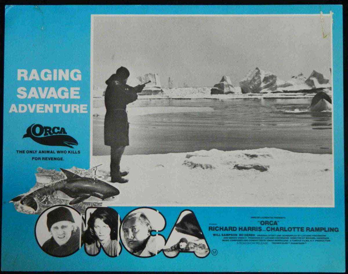 ORCA (6) (1977) — Original Australian Lobby Card