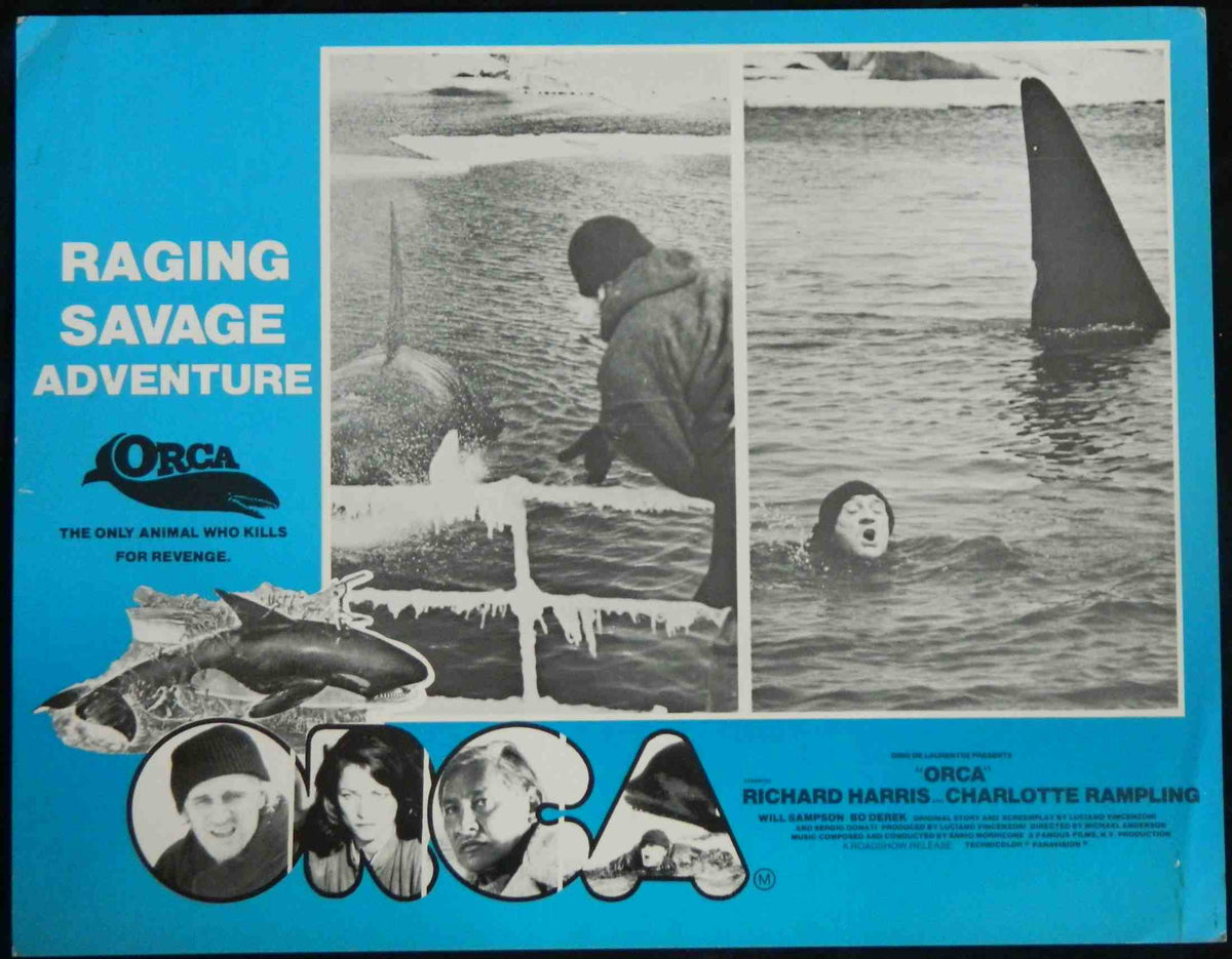 ORCA (3) (1977) — Original Australian Lobby Card