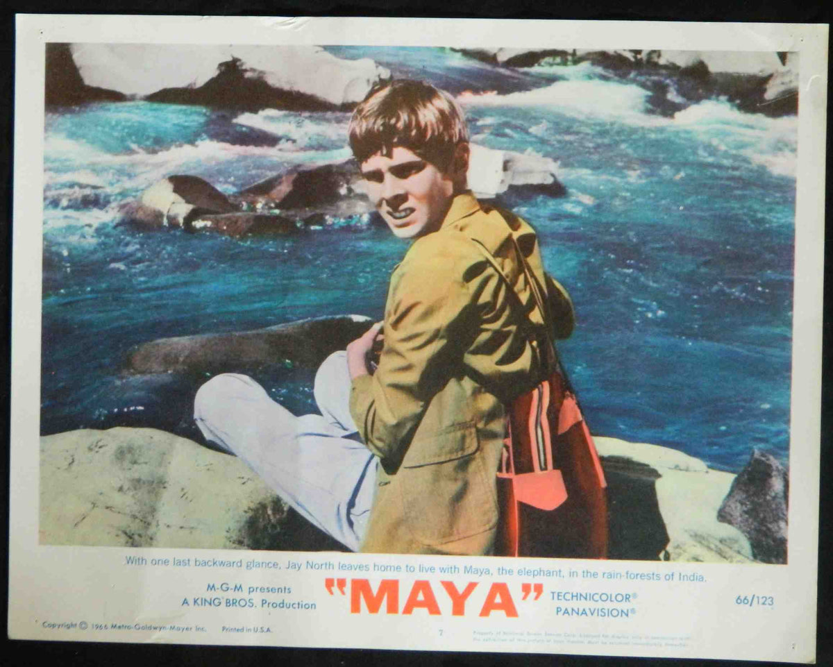 MAYA (7) (1966) — Original Australian Lobby Card
