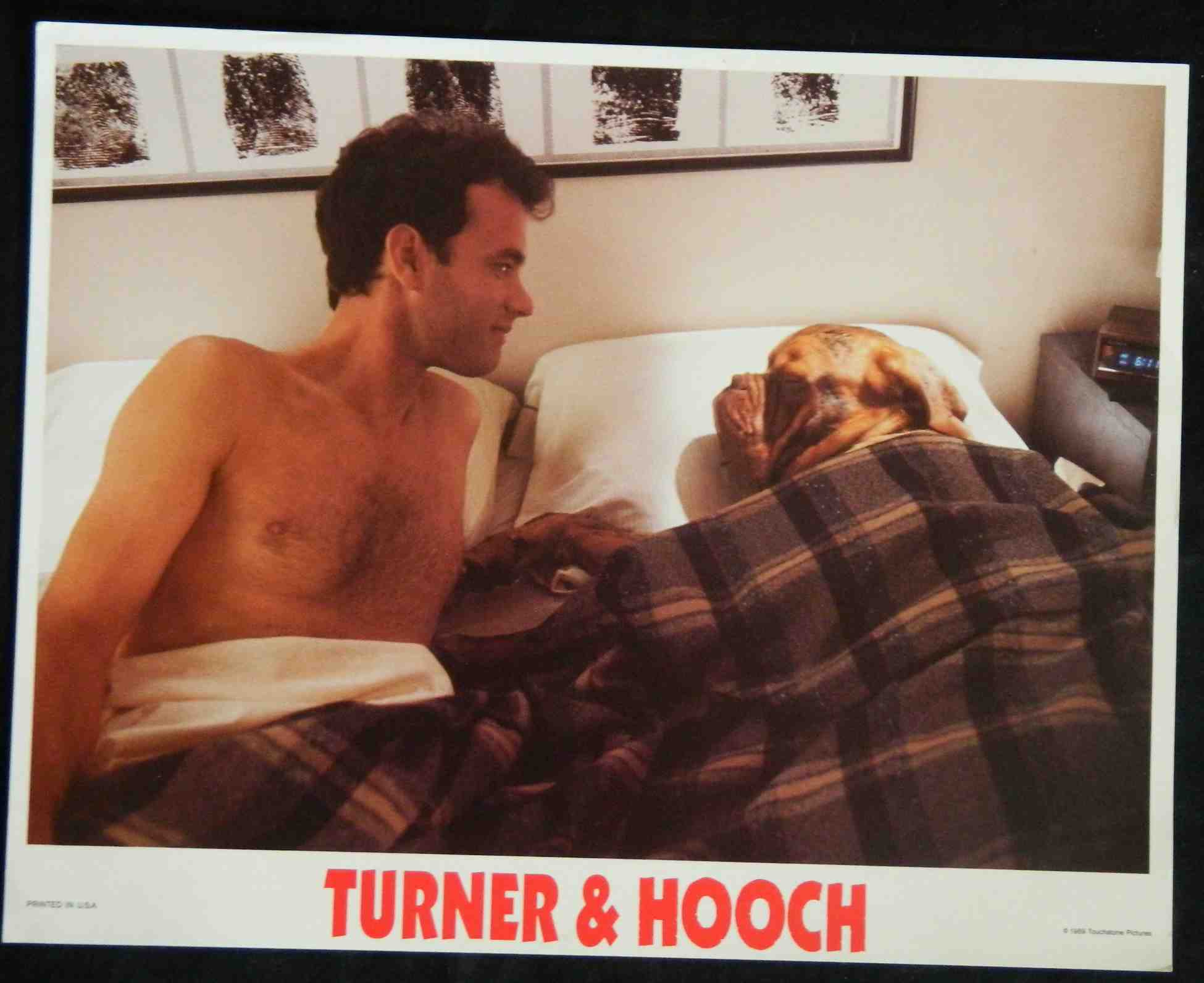 TURNER AND HOOCH (6) (1989) — Original Australian Lobby Card