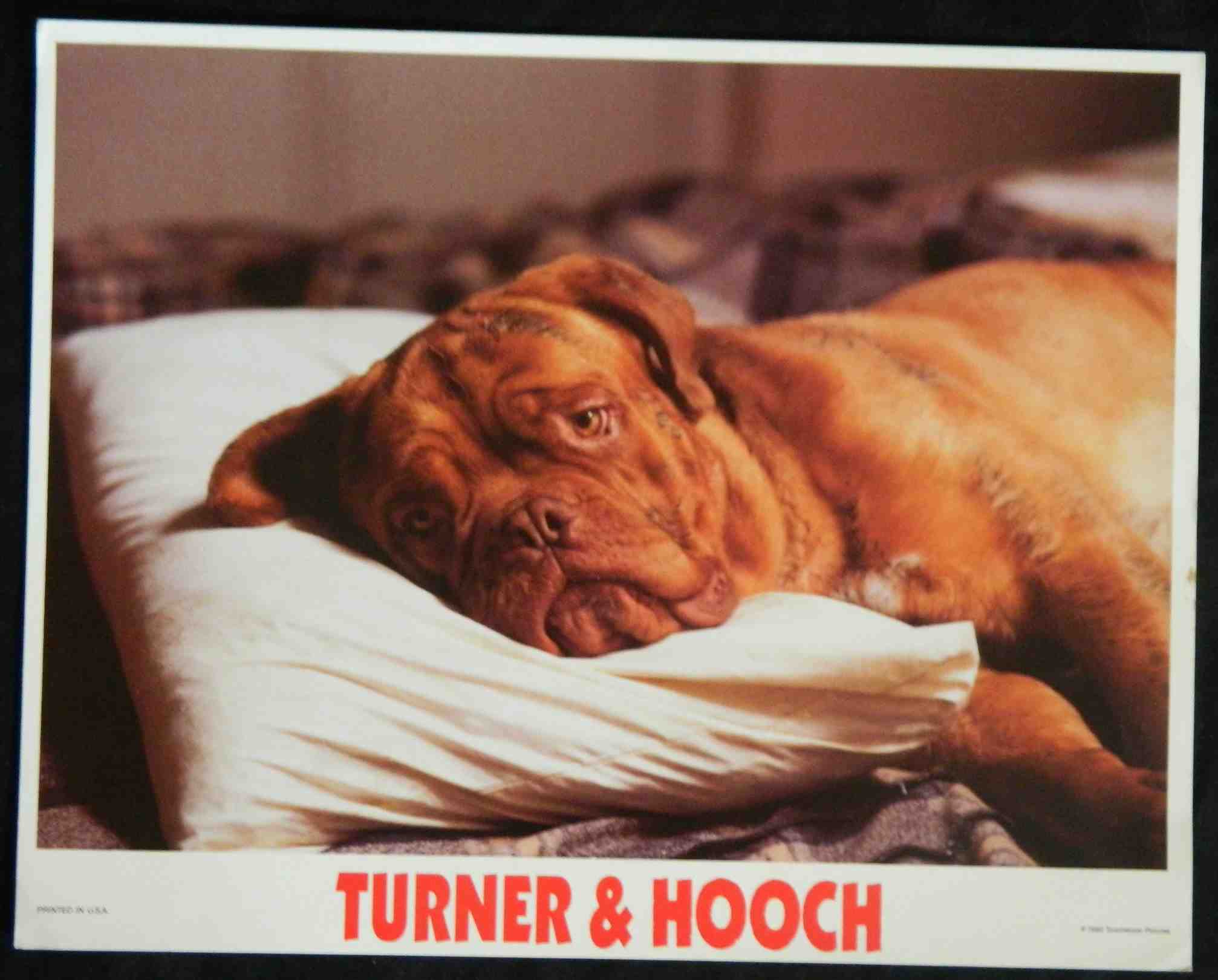 TURNER AND HOOCH (5) (1989) — Original Australian Lobby Card