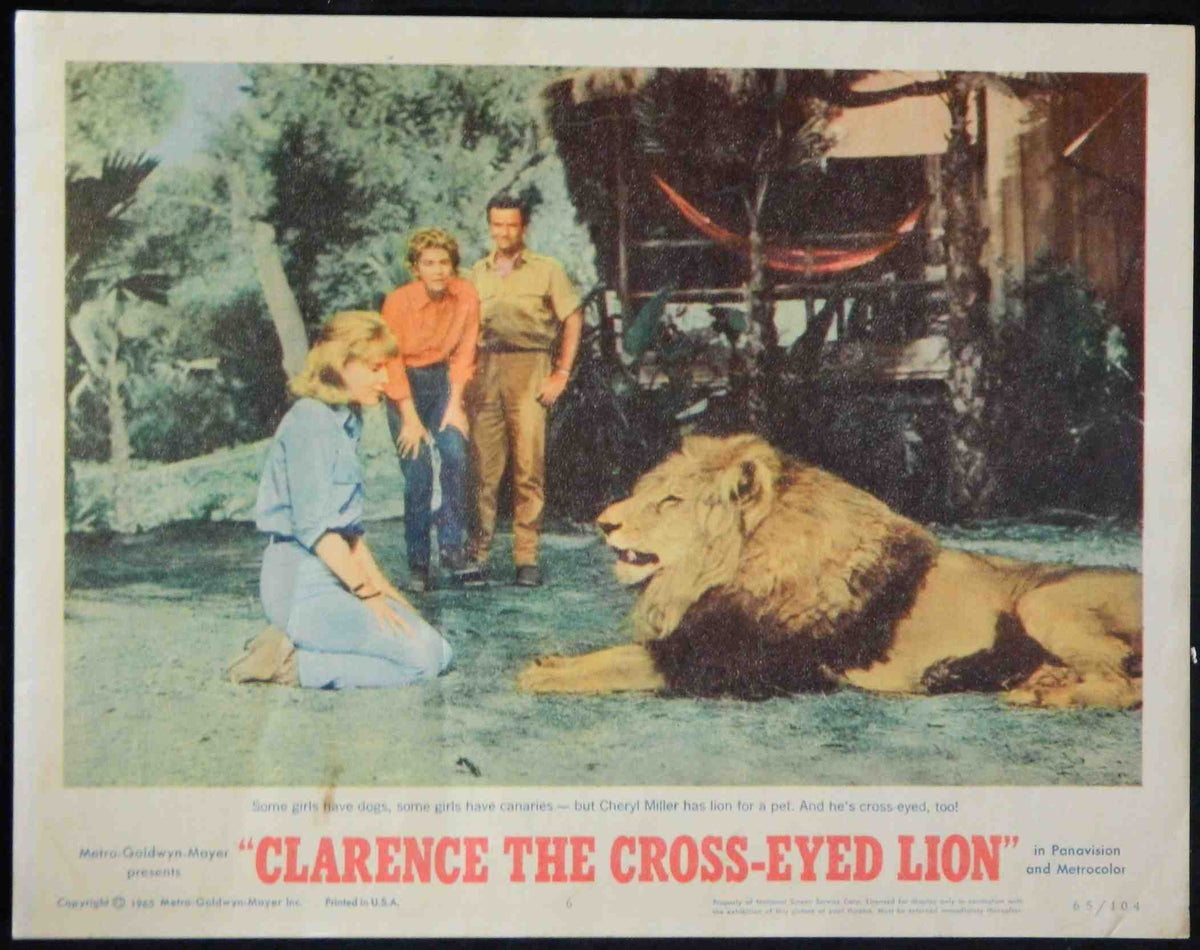 CLARENCE THE CROSSEYED LION (6)(1965) — Original Australian Lobby Card