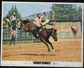 JUNIOR BONNER (7) (1972) — Original Australian Lobby Card