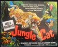 JUNGLE CAT  (1)(1960) RE-RELEASE  — Original Australian Lobby Card