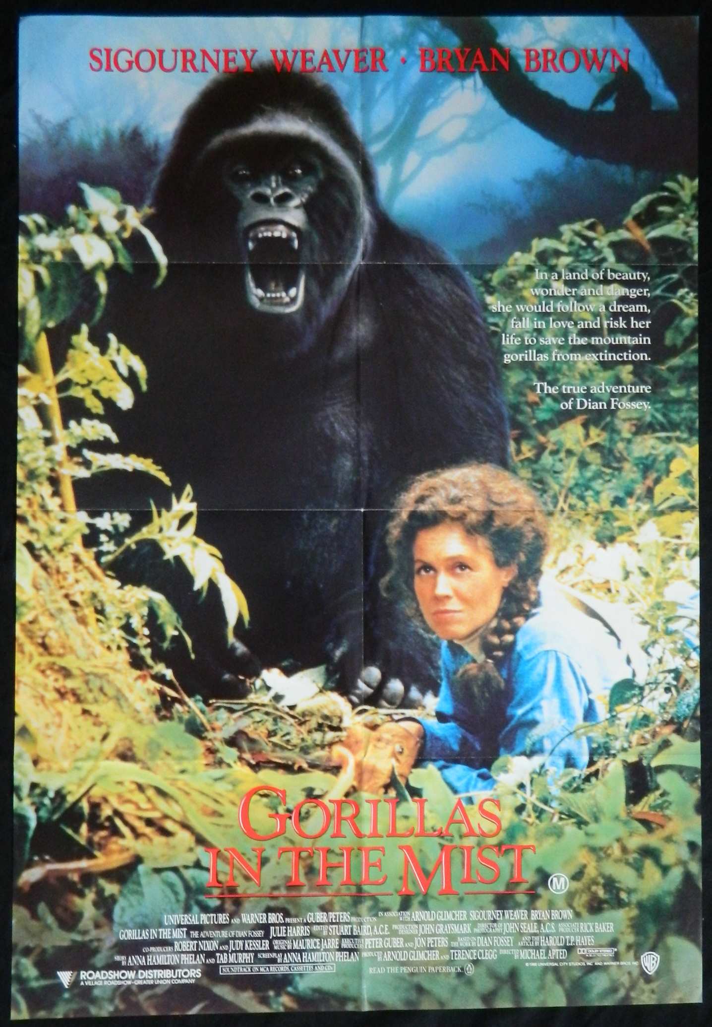 GORILLAS IN THE MIST  (1988)— Original Australian one sheet movie poster