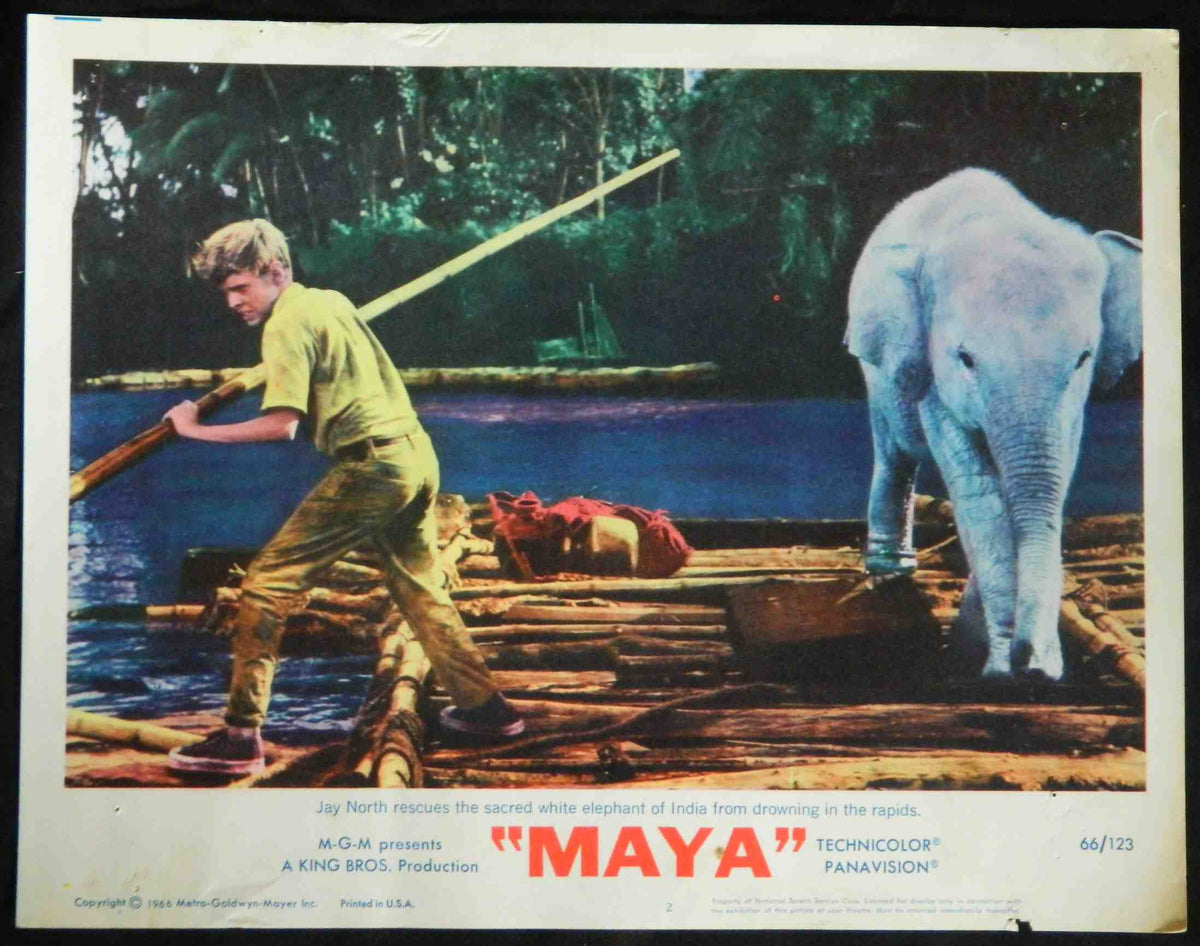 MAYA (2) (1966) — Original Australian Lobby Card