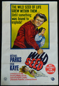 WILD SEED  (1965)— Original Australian one sheet movie poster