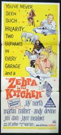ZEBRA IN THE KITCHEN (1965) — Original Australian daybill movie poster