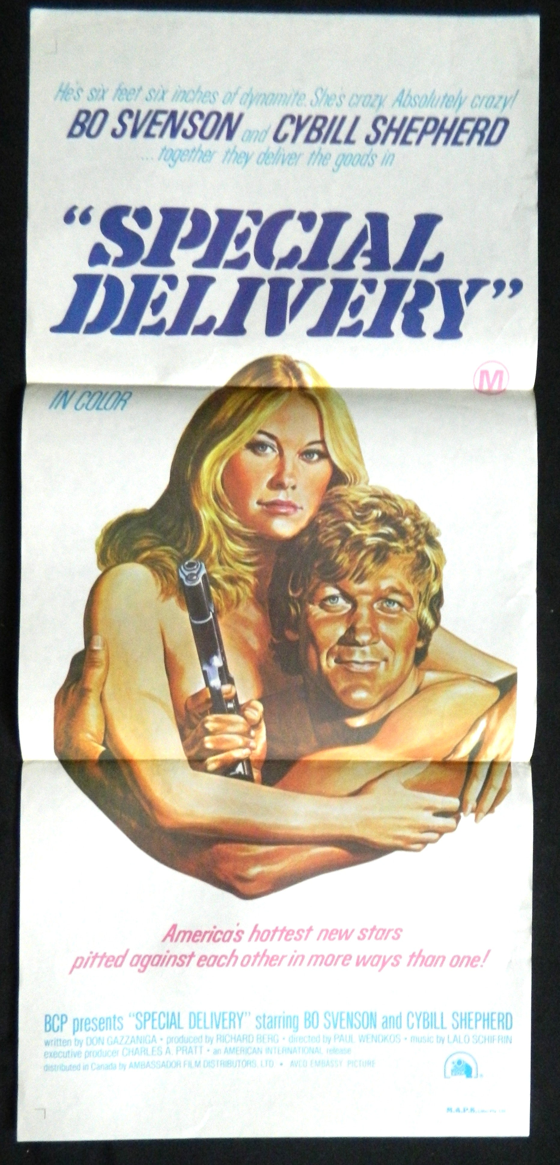 SPECIAL DELIVERY  (1976 — Original Australian daybill movie poster